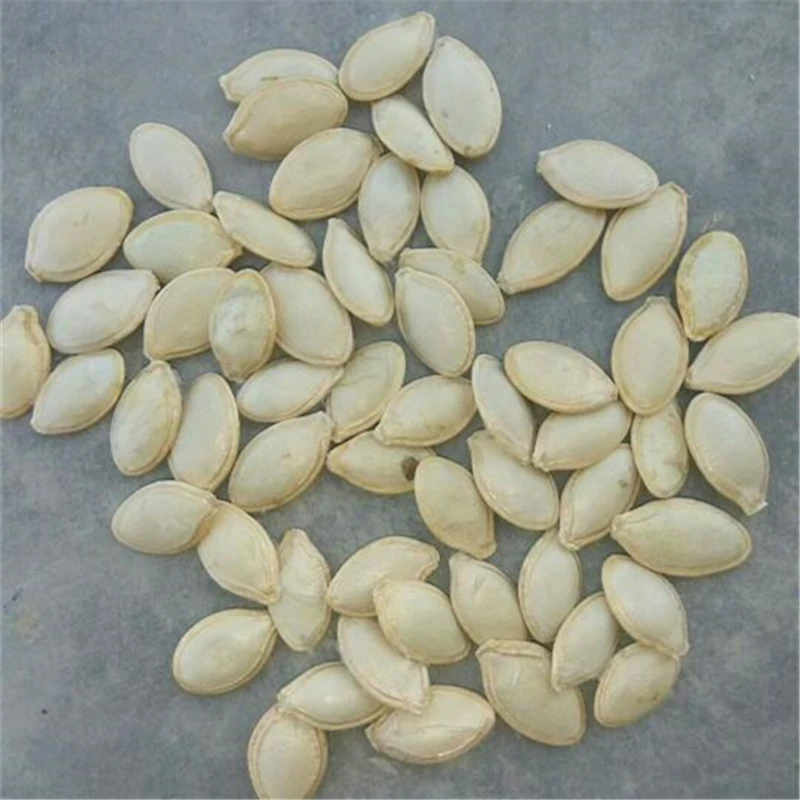 

20Pcs Plant Bonsai Vegetable Squash Zucchini Skvorushka Seeds Colorful Garden Home Furniture Long Pumpkin Wood Bathroom Cabinet