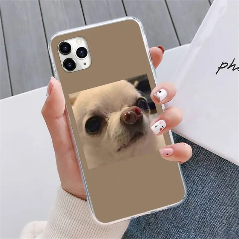 

cute cat dog Phone Case For iphone 12 5 5s 5c se 6 6s 7 8 plus x xs xr 11 pro max mini