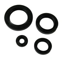 172mm oil seal set water cooled cf250 ch250 engine repair parts cfmoto qcyf cf250