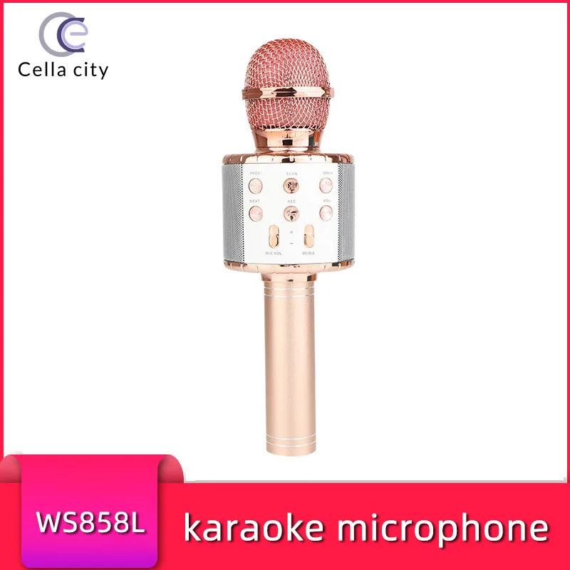 

CELLA CITY Professional Bluetooth Wireless Microphone Handheld Karaoke Mic 858L Audio Interface K Song Equipment Live Mic