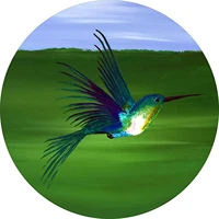 tire cover central bird hummingbird spare tire cover custom sizes for any make model for 20575r15