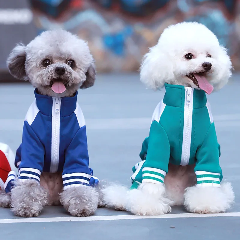 

Parallel Bars Tennis Jacket Pet Sportswear Poodle Dog Clothes Autumn and Winter Clothing Bichon Puppy Small Dog Zip-up Shirt