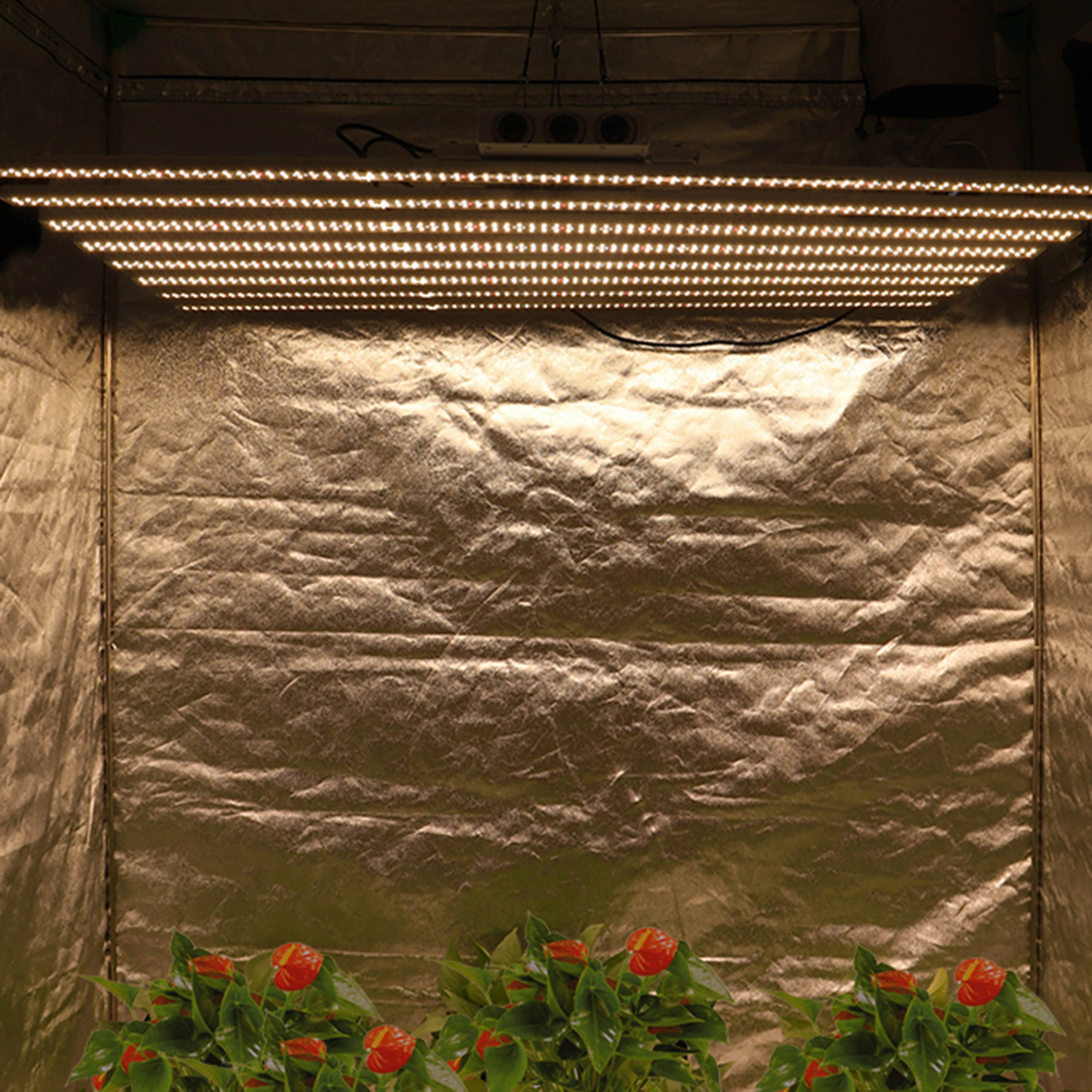 Фитолампа полного спектра широкая площасветильник Высокая PPFD свет s LM301H/301B 2 68 umol/J