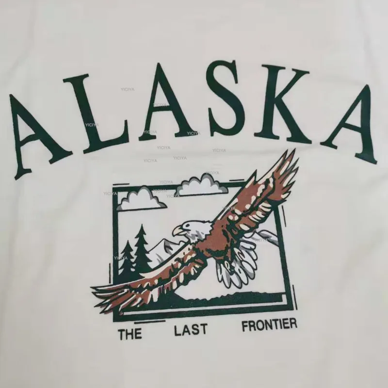 

Vintage T-shirt Hampshire Letter Print Scenery Pattern T-shirts Casual Women Oversized Loose Short Sleeve T-shirt Women Tees