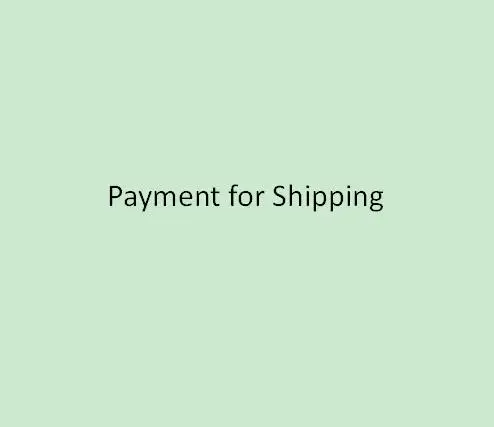 

Payment for shipping 30ml 500pcs white bottle without dropper