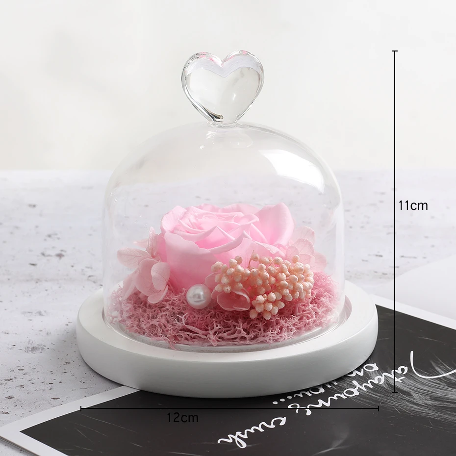 Красавица и чудовище вечная настоящая Роза Маленький принц сохраненный цветок в