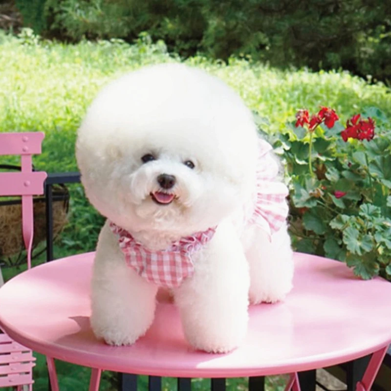 Yellow Skirt for Dogs Poodle Dress Summer Clothes Puppy Breathable Sun Protection Clothing Pets Fashion Pet Products |