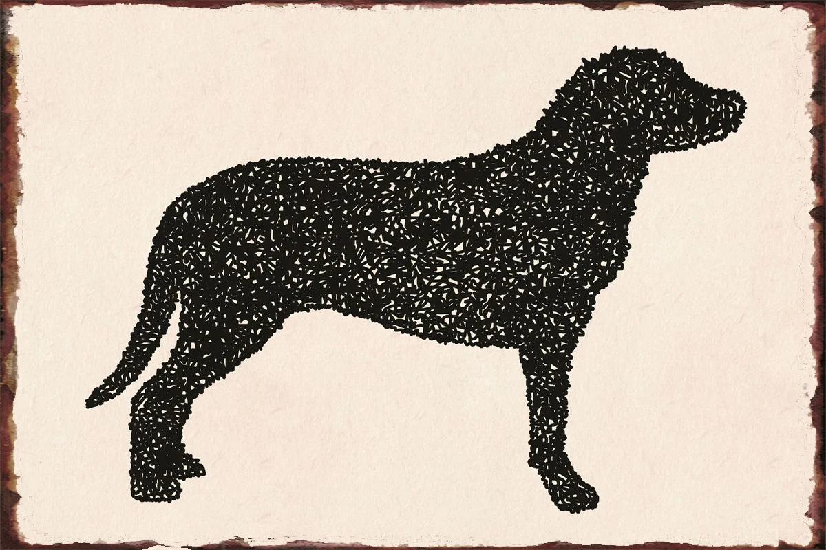 

Жестяная Табличка с черной собакой, винтажная металлическая вывеска, жестяные таблички, Настенный декор, украшение для комнаты в стиле ретр...