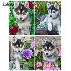 Хаски 5D DIY алмазная живопись Собака Набор для вышивания крестиком животных полный дрель вышивка мозаика художественная фотография Стразы украшения дома