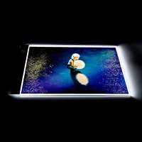 with scale a3a4 large size led drawing tablet led light board diamond painting accessories tool kits diamond embroidery