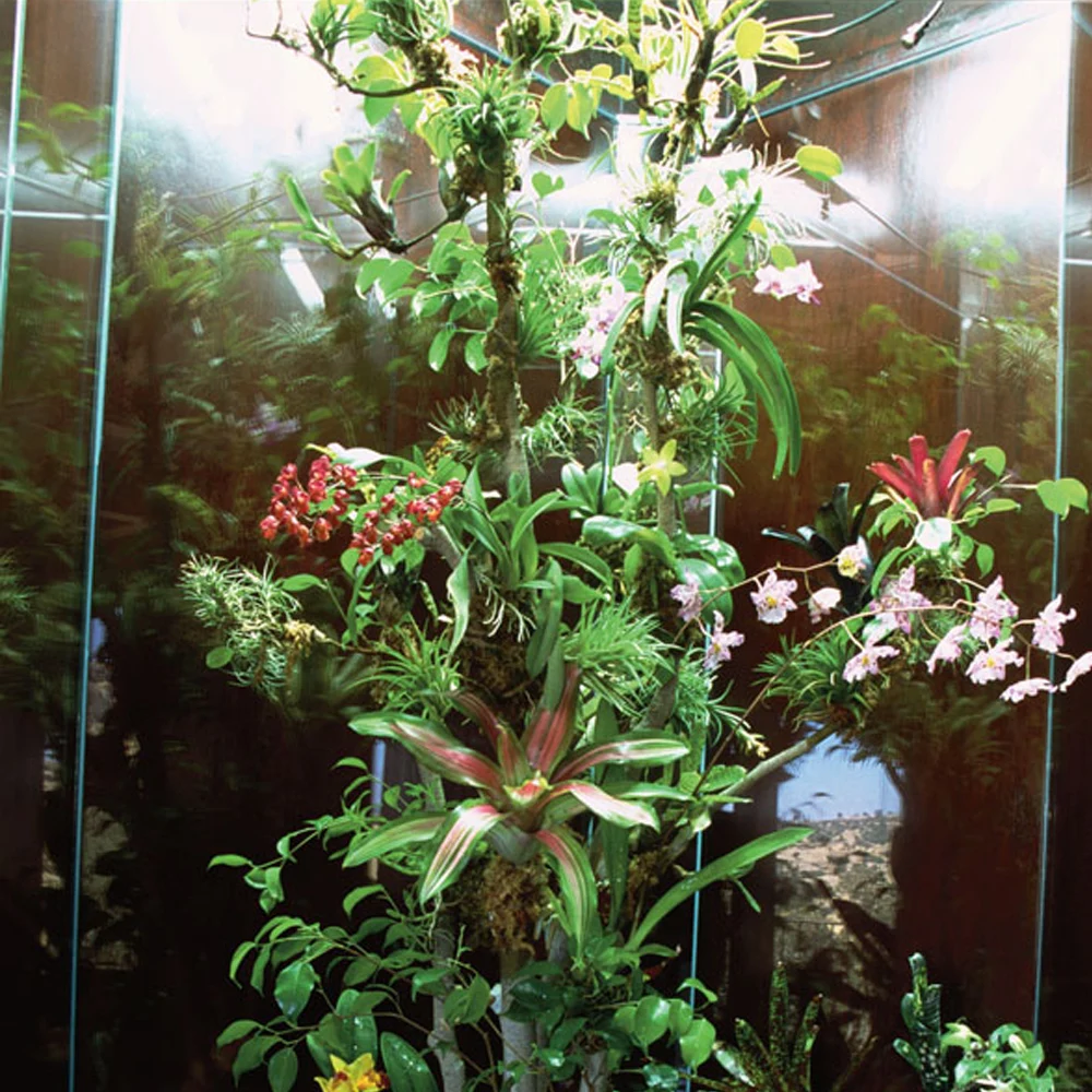 Распылитель для рептилий распылитель тумана 360 регулируемый резервуара