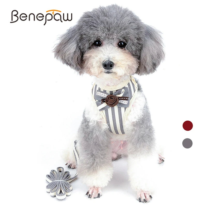 Benepaw Модный Полосатый поводок для маленьких собак комплект бабочка дышащая сетка