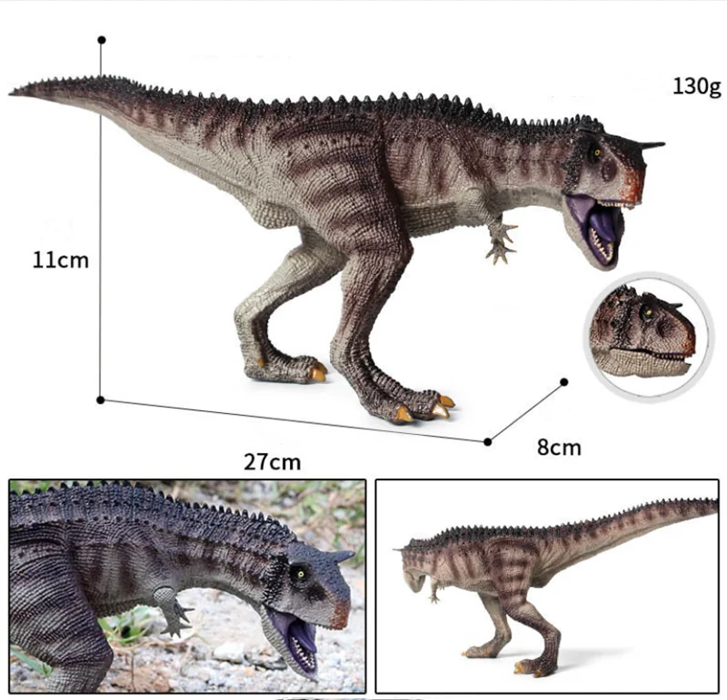 

Carnotaurus Carnosaurs Dinosaur Figure Animal Model Toy Collector Decor Gift Ancient Biological Adult Kids Toys