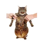 Нашивки милый кот аксессуары для одежды Diy Женская одежда футболка Термотрансферная наклейка бумага, железо Ons для одежды патч