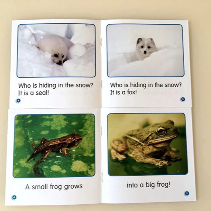 5 шт./набор детские книги с руководством на английском языке