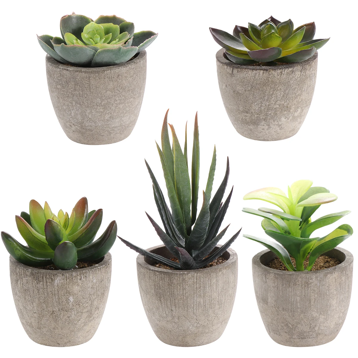 

1 Set Potted Succulents Plants Ceramics Bonsai with Pots Cement Artificial Flower Fake Plants for Wedding Garden Home Decorative