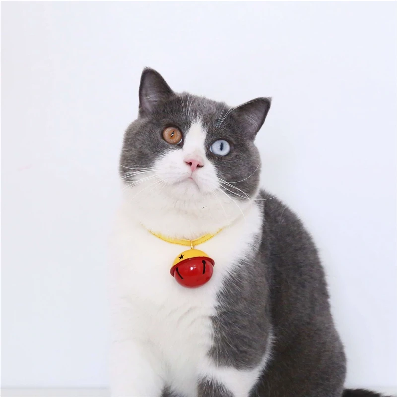 

TJPBF Big Bells Necklace Collars Lovely Two-color Stitching Collar For Pets Fashion Adjustable Cats Puppy Supplies Accessories