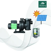 (Free Shipping)  DC Solar Pool Pumps for Swimming Pool ( Model :  SJP21/19-D72/750)