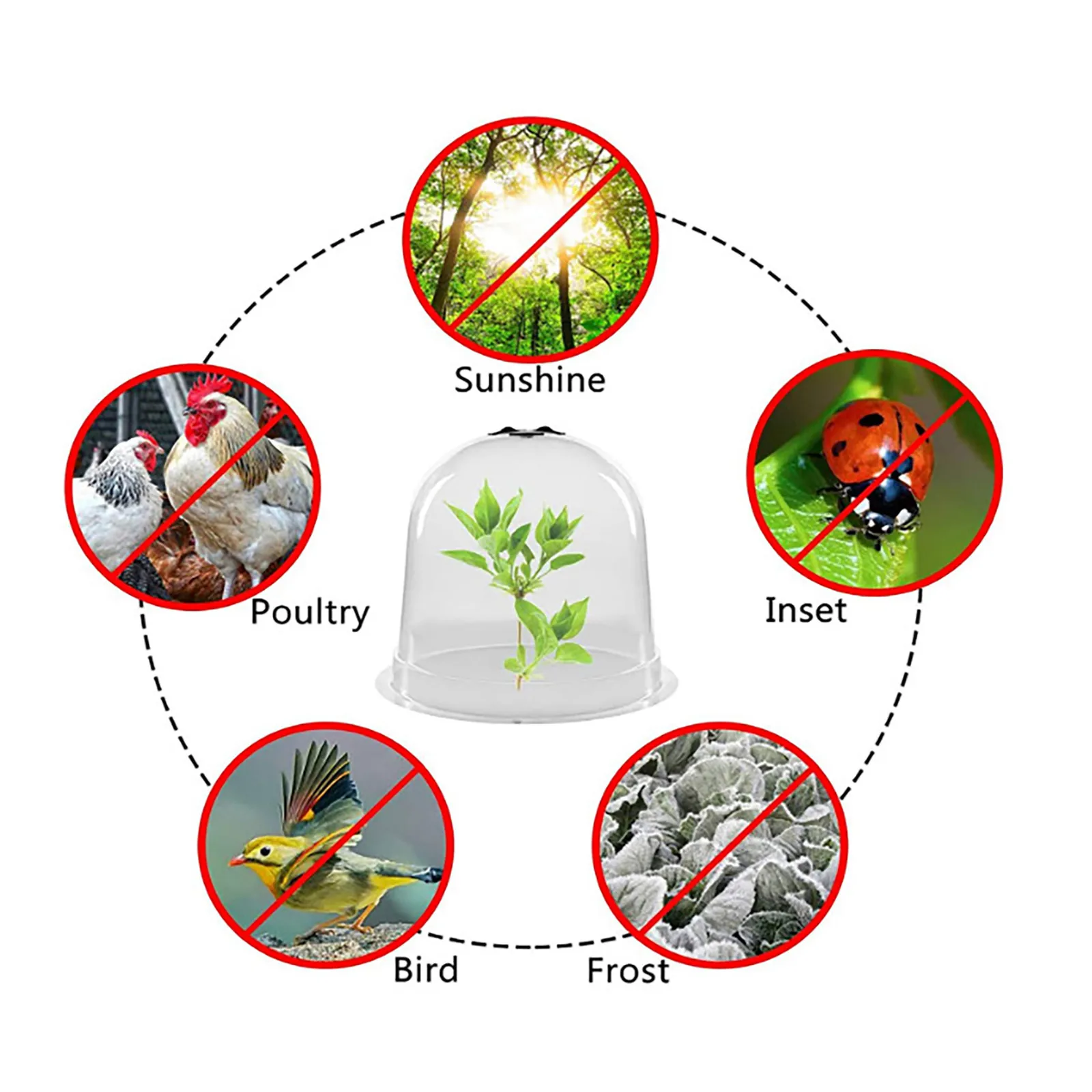 

40# 6pcs Garden Cloche Dome Plant Bell Plant Covers For Garden Decor Plant Protector Cover Plastic For Plant Protection Cover