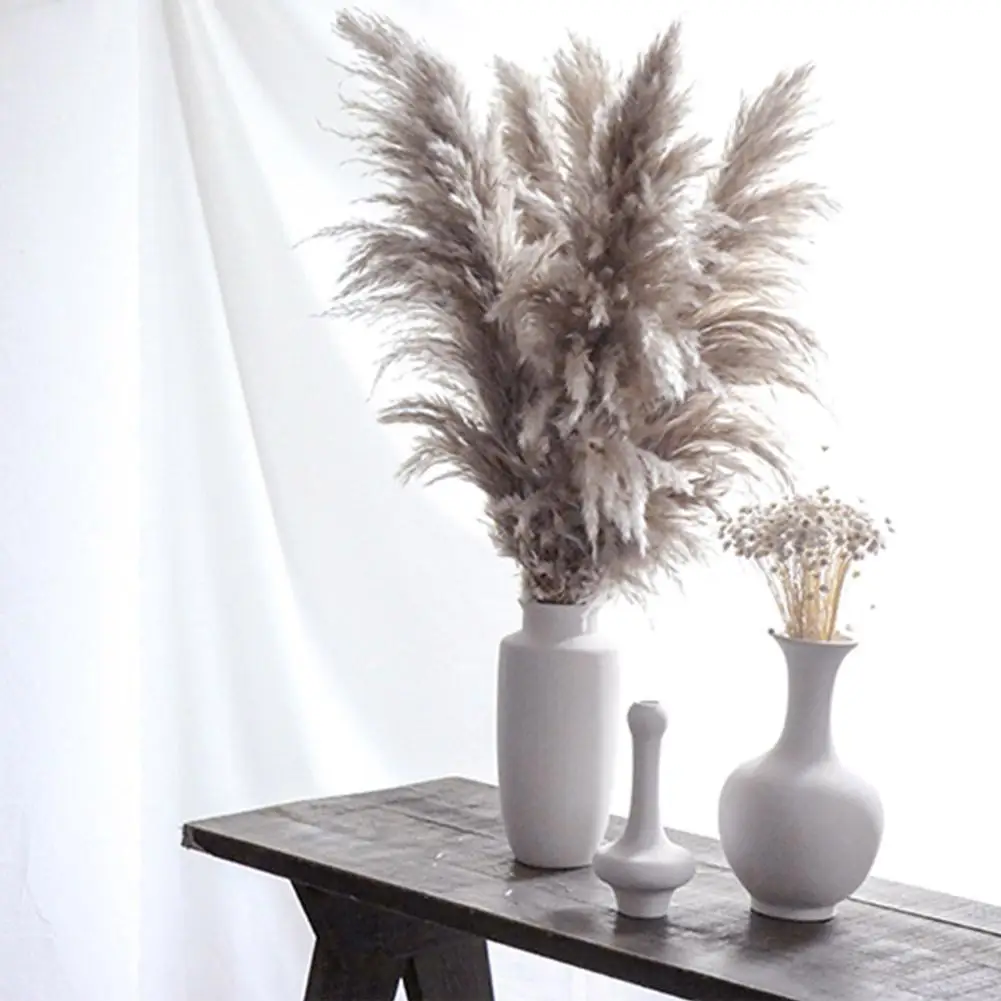 3Pcs/Set Natural Dried Flower Pampas Grass Gray Reed Home Decoration Wedding Layout Corner Shop Display Window Accessories - купить по