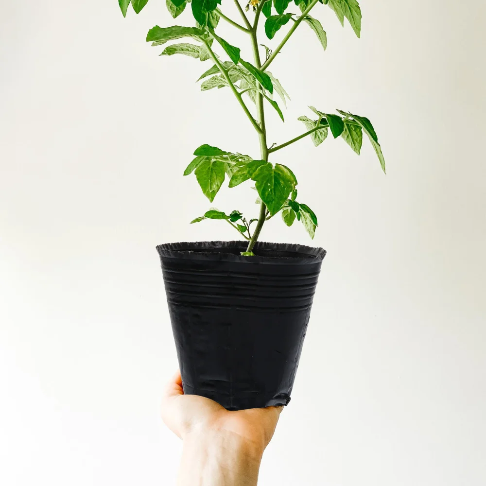 

500Pcs Practical Plant Nursery Pots Useful Gardening Pot Planting Containers