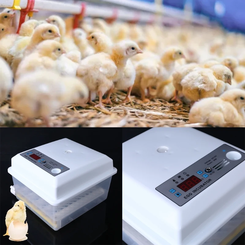 

220V Eggs Incubator Brooder Bird Quail Chick Hatchery Incubator Poultry Hatcher Turner Automatic Farm Incubation Tools EU/US