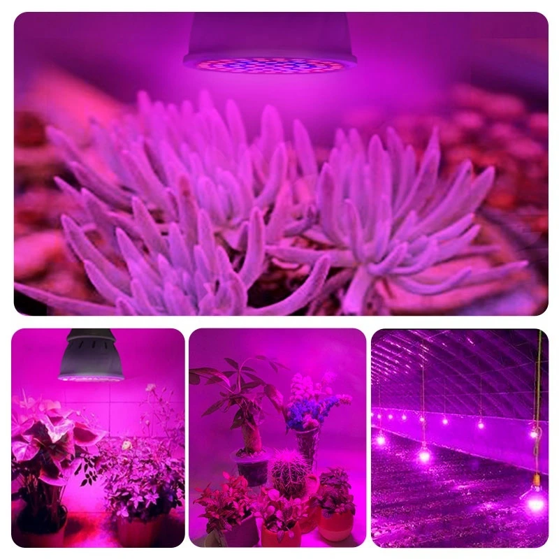 Светодиодный светильник полного спектра E27 E14 48/60/80 для выращивания растений
