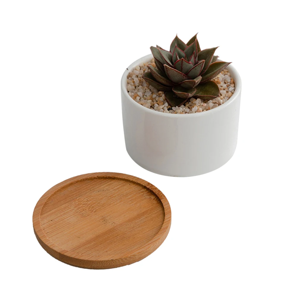 

White Porcelain Flowerpot Plant Tray Pot Succulent Basin Home Decoration Simplicity Planting Oragnizer Indoor Potted Plants