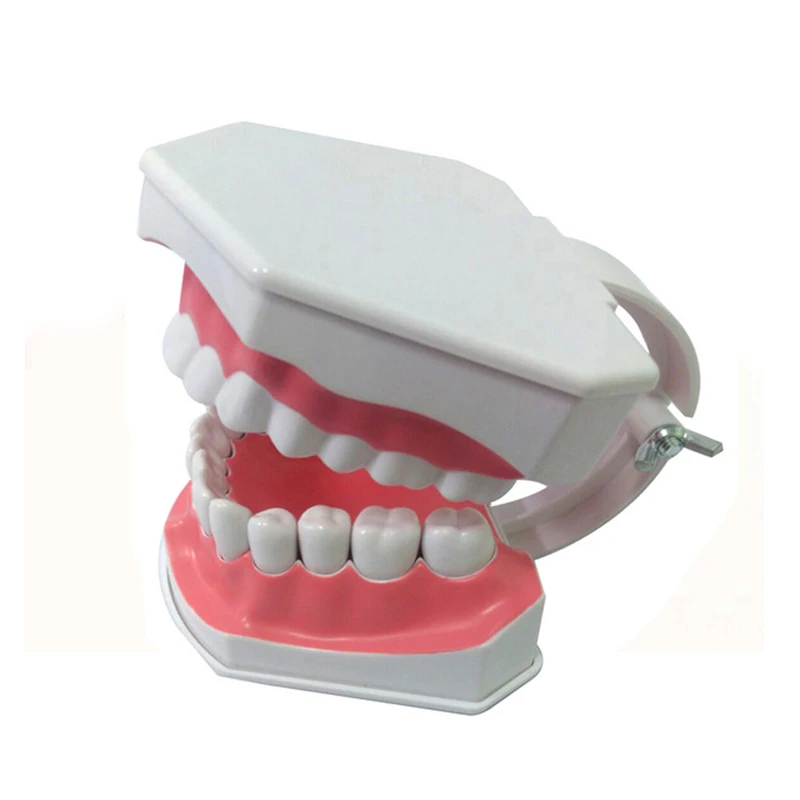 Детская игрушка для ролевых игр модель стоматолога проверки зубов медицинская