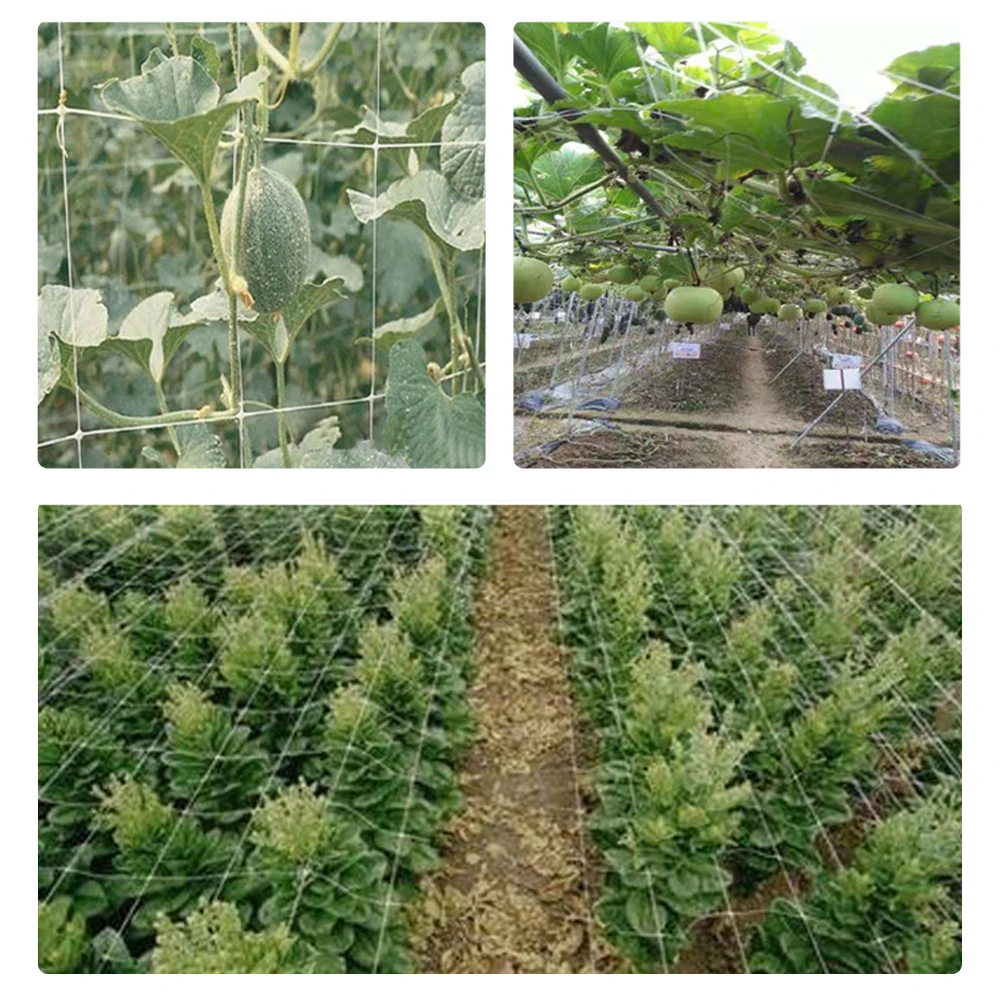 

1pcs Hi-quality Nylon Garden Netting Loofah Morning Glory Flowers Vine Plants Climbing Net Cucumber Vine Grow Holder Brackets