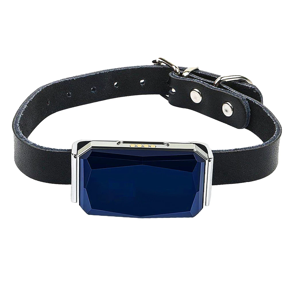 

Waterproof Pet Collar GPS Tracker LBS RF Tracking No Monthly Fees for Pets