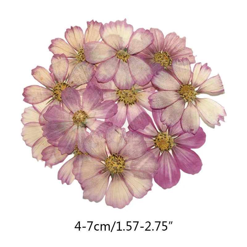 

120 Pcs Dried Flowers Coreopsis UV Resin Decorative Natural Flower Stickers 3D Dry Beauty Decal Epoxy Mold DIY Filling