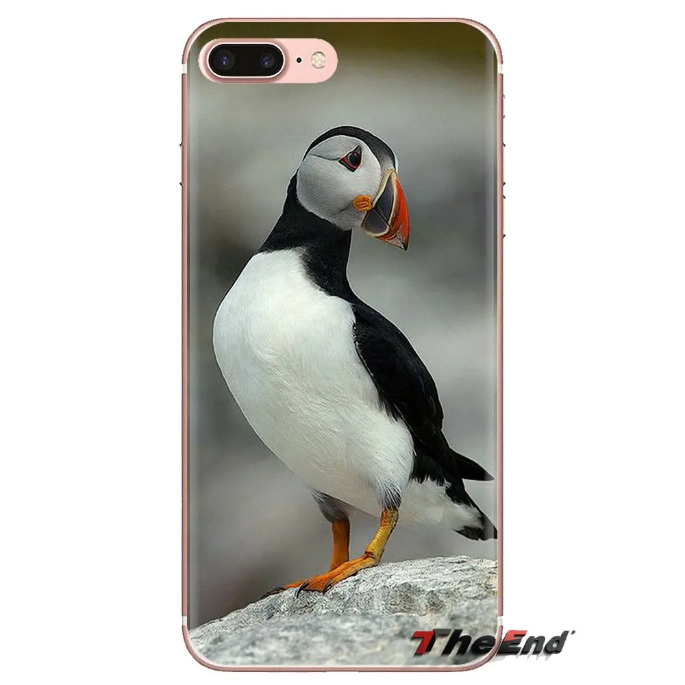 Чехол из ТПУ для iPhone XS Max XR X 4 4s 5 5S 5C SE 6 6S 7 8 Plus samsung Galaxy J1 J3 J5 J7 A3 A5 с изображением