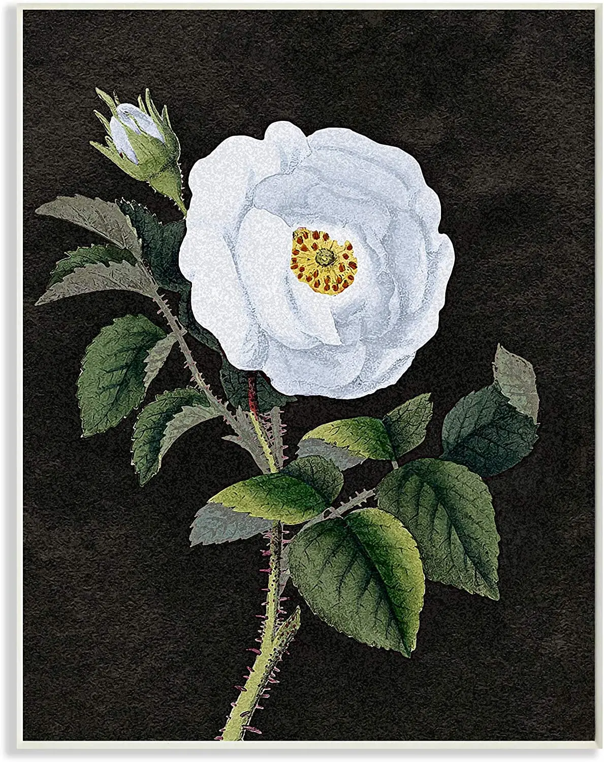 

Красный Маковый Цветочный Мягкий зеленый луг трава, дизайн Кэрол рован стена зубной налет