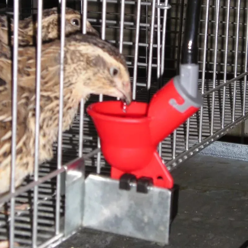 Howells 20 шт. курятник курица перепелиная вода ниппель для поилки чаша поилка