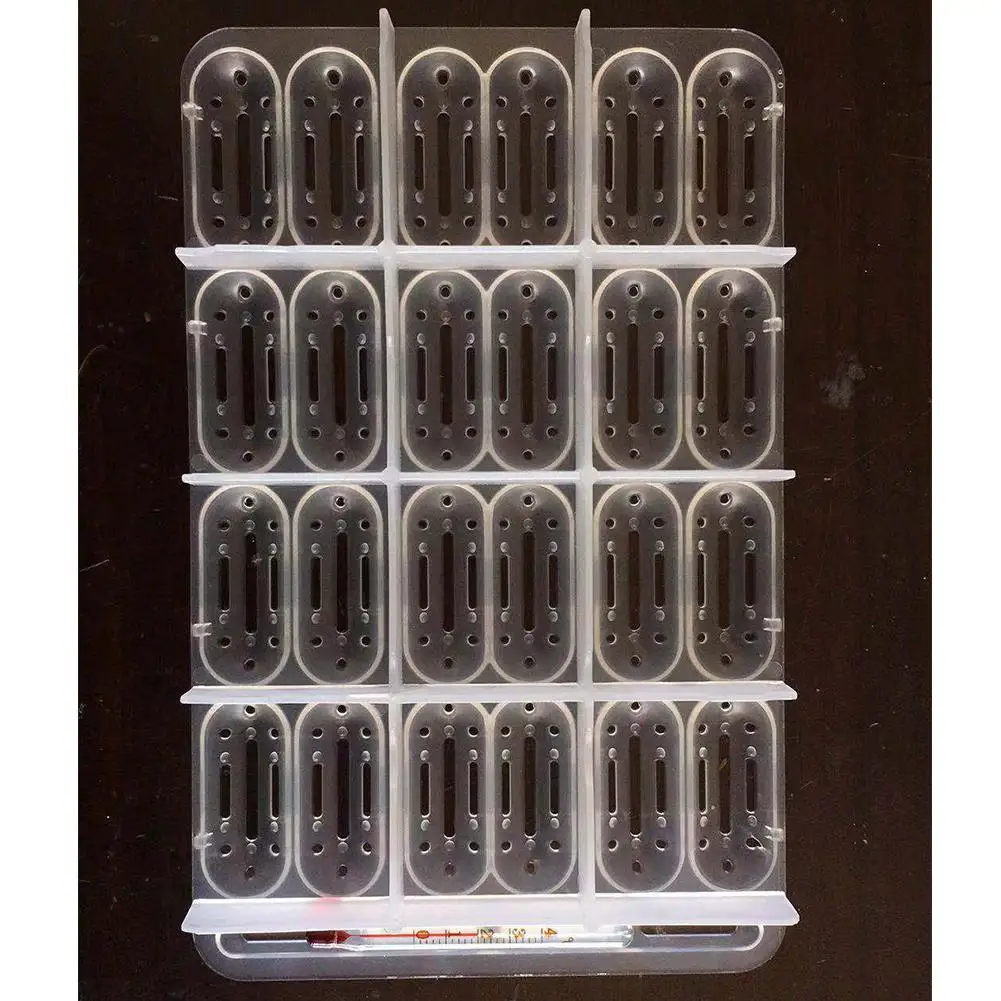 Инкубационный поднос для яиц рептилий с 24 отверстиями черепахи ящерицы хамелеона|Корма питьё и аксессуары| |