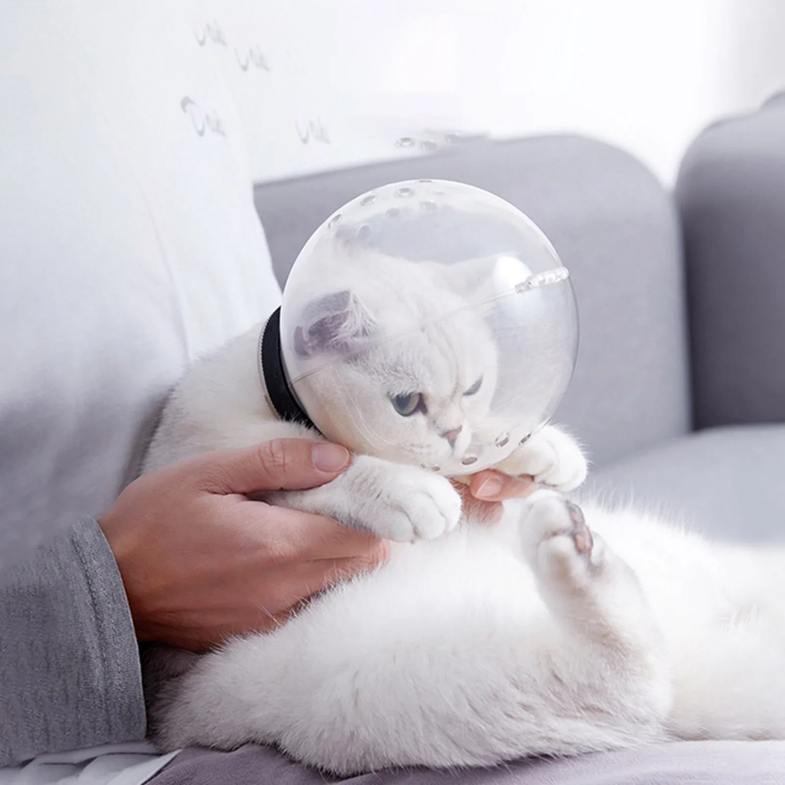 

Кошачий капюшон прозрачный дышащий котенок против укусов намордник против укусов Жевательная маска для ухода за кошками купальный Кот про...