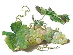 

Набор для вышивки крестиком из зеленого винограда, Набор для вышивки крестиком, наборы для вышивки, хлопковая нить