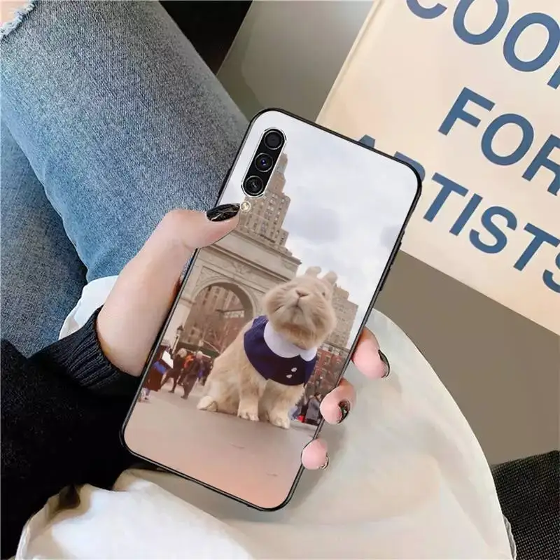 

Animal bunny cute and cute Phone Case For Samsung galaxy A S note 10 7 9 20 30 31 40 50 51 71 21 s ultra