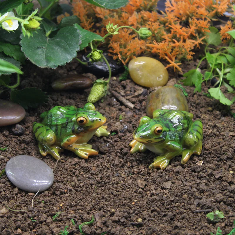 

Realistic Frog Ornaments Model Simulation Action Bullfrog Bullfrog Collection Animal Figures Cognition Educational Toys Children