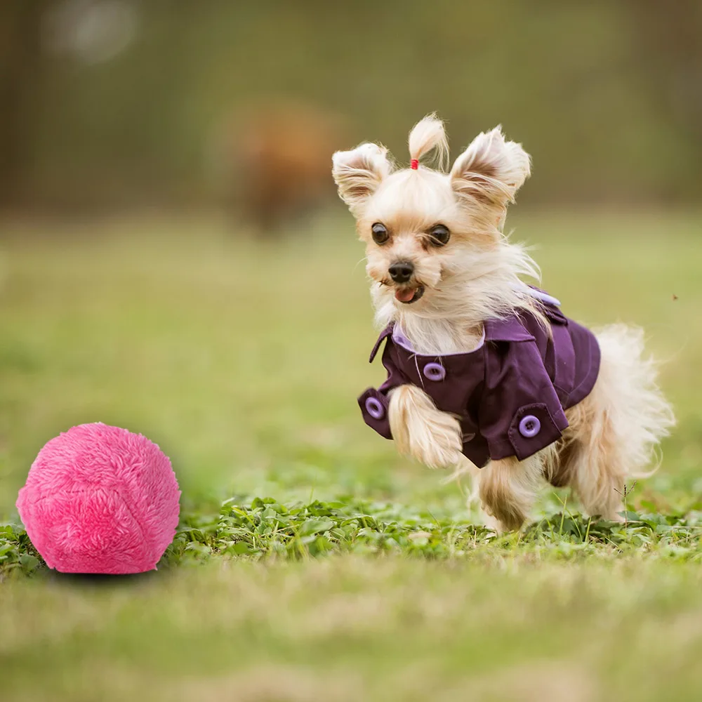 

Magic Roller Ball Pet Toy Activation Automatic Roller Ball Magic Ball Pet Electric Toy Interactive Toy