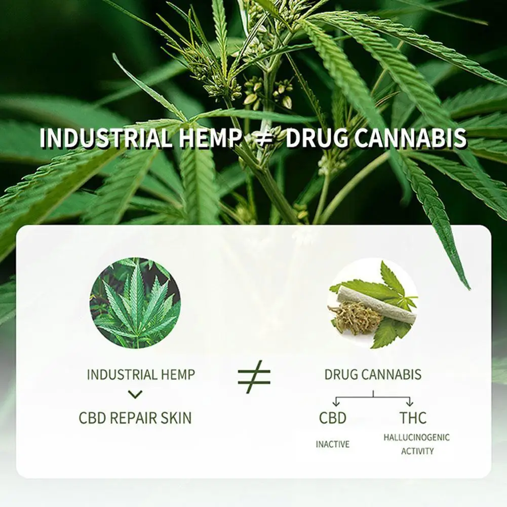 Мыло для ухода за кожей чайного дерева и лаванды 80 г | Красота здоровье