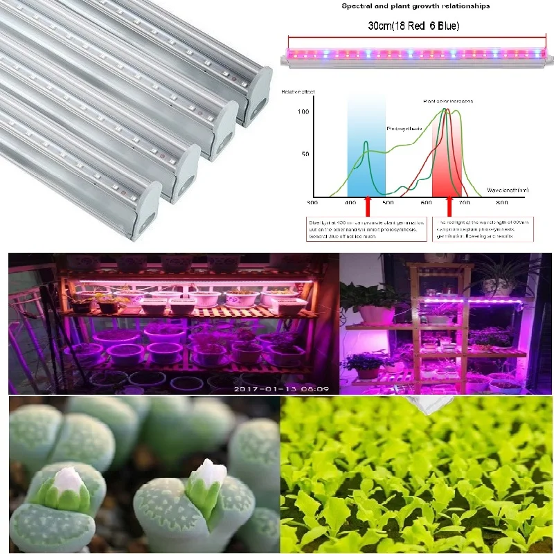 Светодиодная лампа T5 для гидропонных систем 5 Вт 10 15 20 25 110 В 220 В|led grow light|grow lightled |
