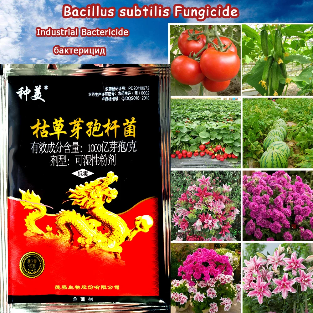 Лекарственные препараты для лечения болезней растений пестициды фунгициды