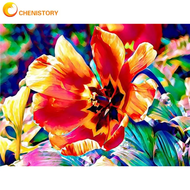 

CHENISTORY 60x75cm Frame Picture By Numbers Colorful Flowers Paint By Number For Adults Acrylic Paint On Canvas For Home Artwork