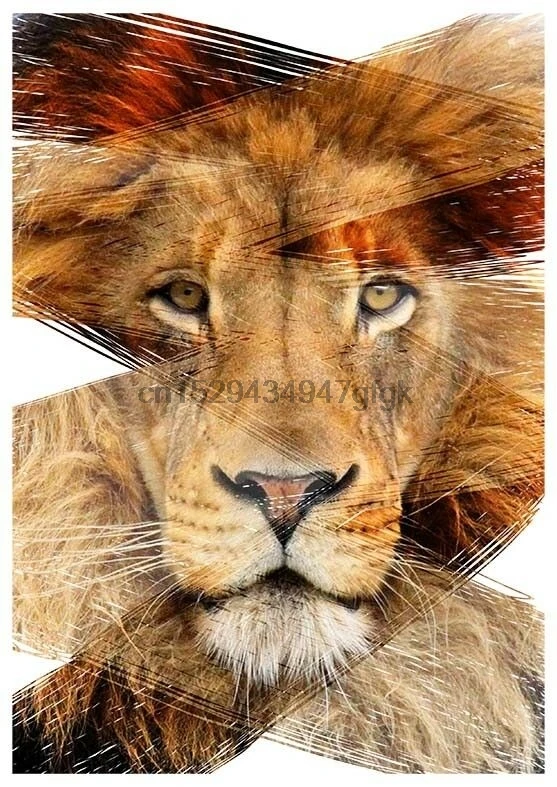 Lion Head Brush Design T-Shirt Boys Girls Kids Age 3-15 Ideal GiftPresent(1) | Мужская одежда