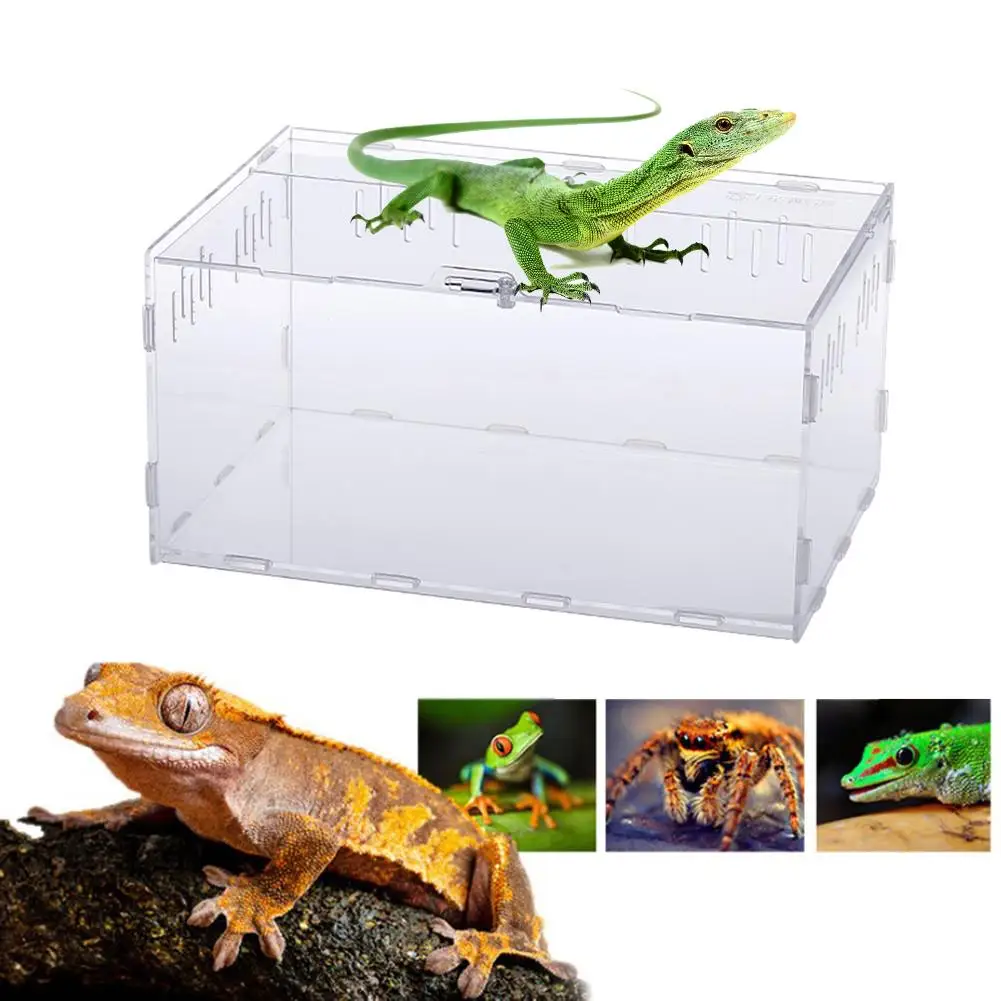 Acrylic Terrarium Spider Breeding Box Reptile Feeding For Climbing Pet Snake Lizard Scorpion Centipede | Дом и сад