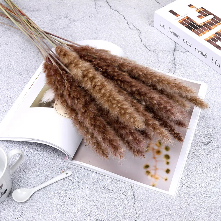 

15 Pcs Natural Dried Pampas Grass Wedding Party Decoration Flower Family Store Home Christmas Decor Air-drying Ornament