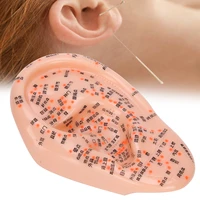 human ear acupuncture model with acupuncture points ear massage model for home teaching training use pvc material safe healthy