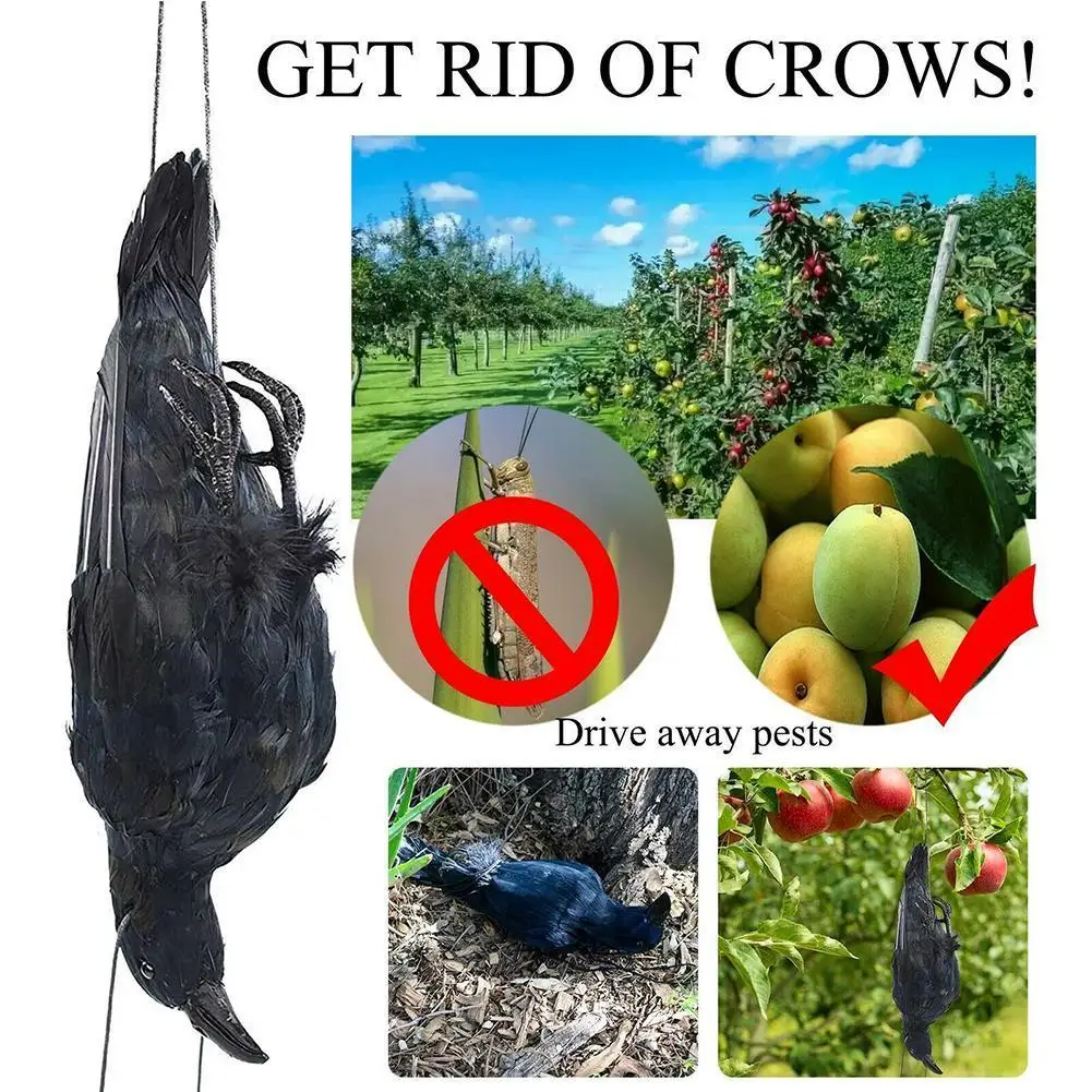 

Bird Mold Animal Ornaments Realistic Hanging Dead Crow Decoy Life Size Extra Large Black Feathered Crow Simulation Garden Decor